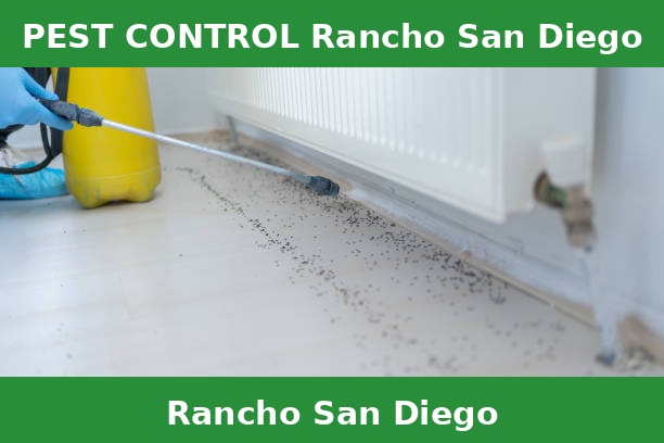 PEST CONTROL Rancho San Diego